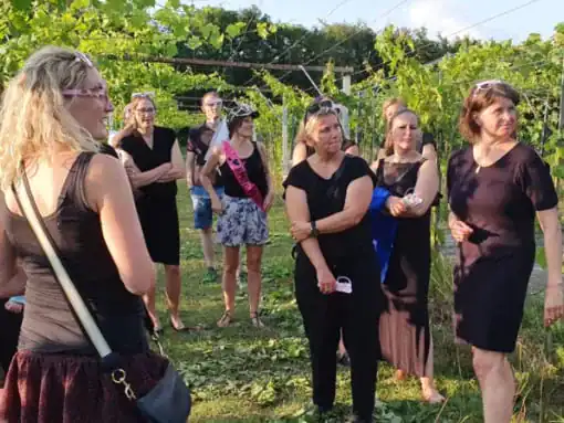 Vesterhave vingaard visits 3