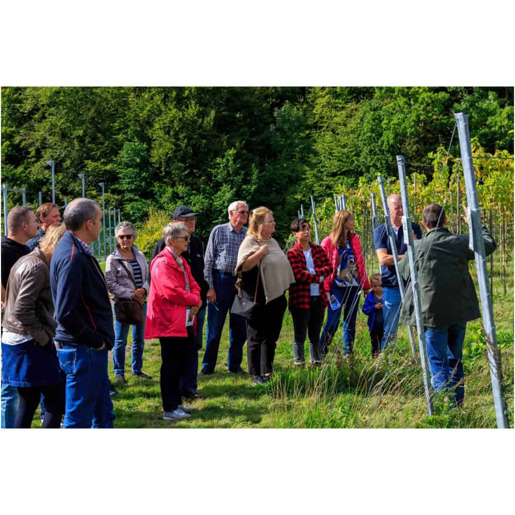 Ycwowkaceeejbhgw2yqb1q n613zkbceeufazm7crup4g