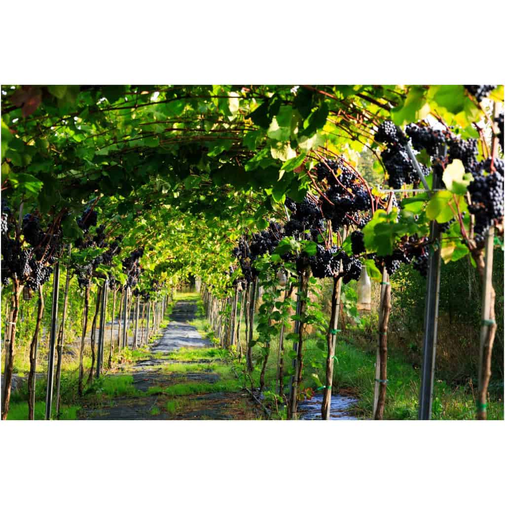 Ycwowkaceeejbhgw2yqb1q wayyokbseeulvi0gcnzhmg