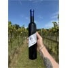 Rødvin i vinmark, hånd holdende flaske af lokal vin, Vesterhave Vingaard, med frodige vinrækker.