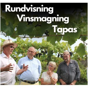 Vesterhave Vingaard - vin- og vinsmagning i smukke vinmarker.