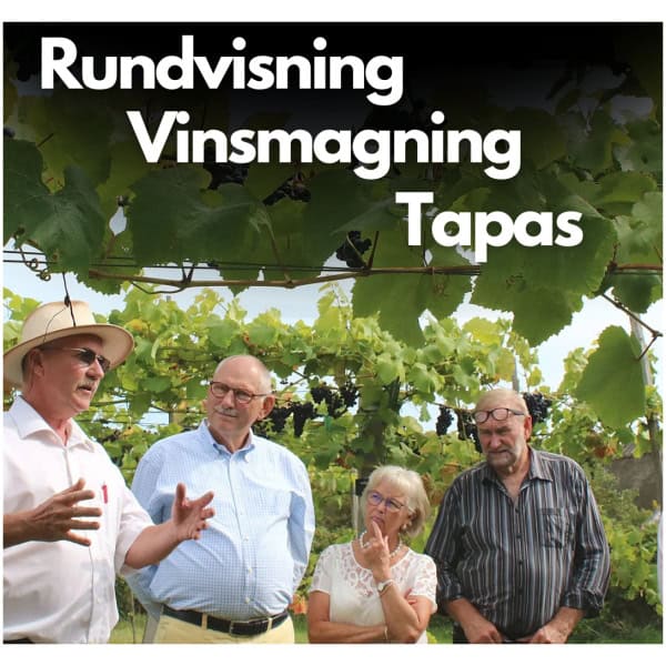 Vingårdsbesøg m. vinsmagning og tapas - 9/10-2026