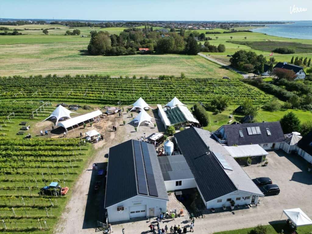 Billede af Vesterhave Vingaard med vinmark, festtelt og landlige omgivelser nær kysten.