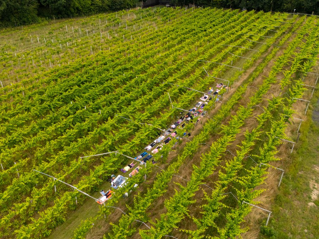 Yoga og vinsmagning på en vingård