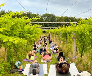 Yoga og Vin 8/8-2026