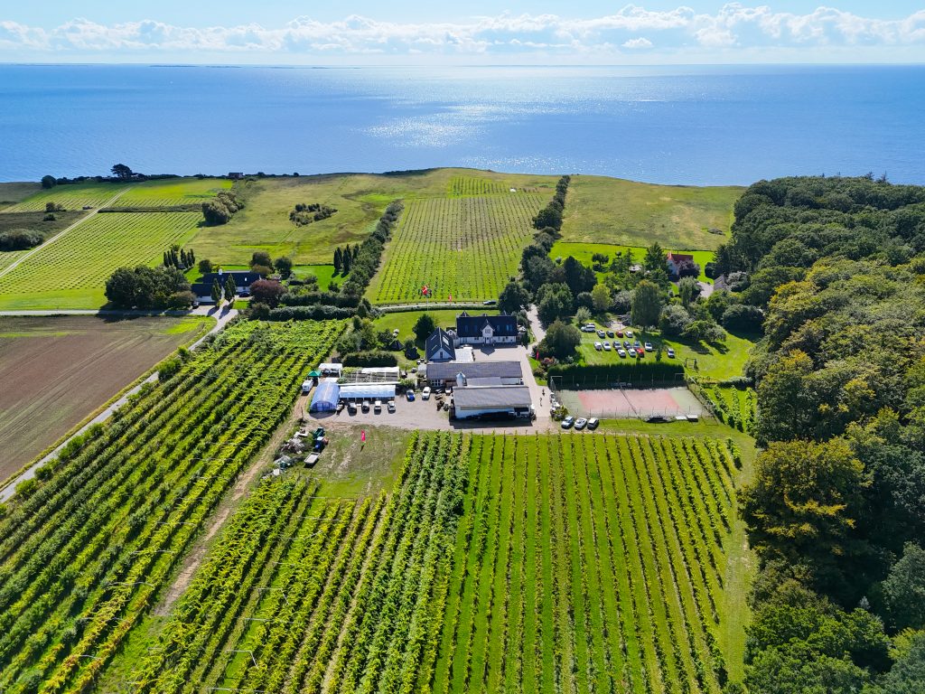 Firmaevent og teambuilding på unikt eventsted Sjælland hos Vesterhave Vingaard
