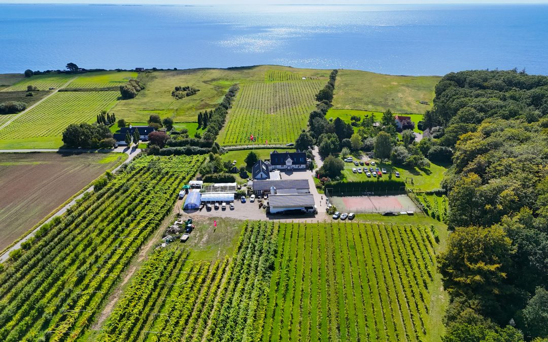 Unikt Eventsted på Sjælland – Nr. 1 vingård på Sjælland