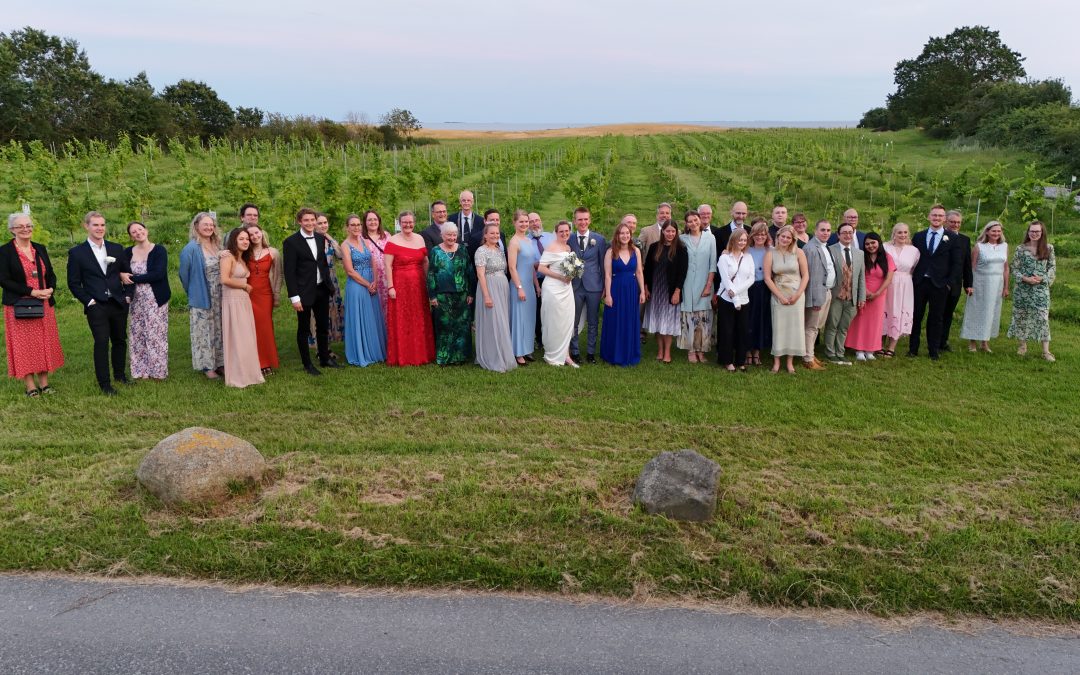 Bryllup på en dansk vingård: Fejr kærligheden i unikke rammer på Sjælland