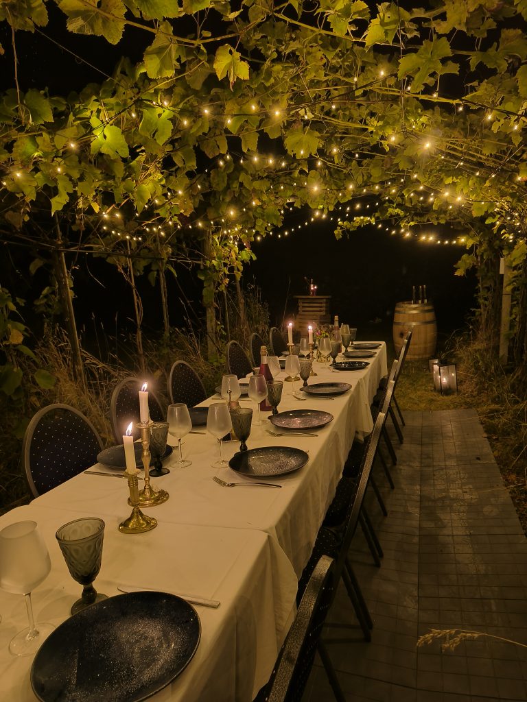 Lokale ved bryllup på en dansk vingård