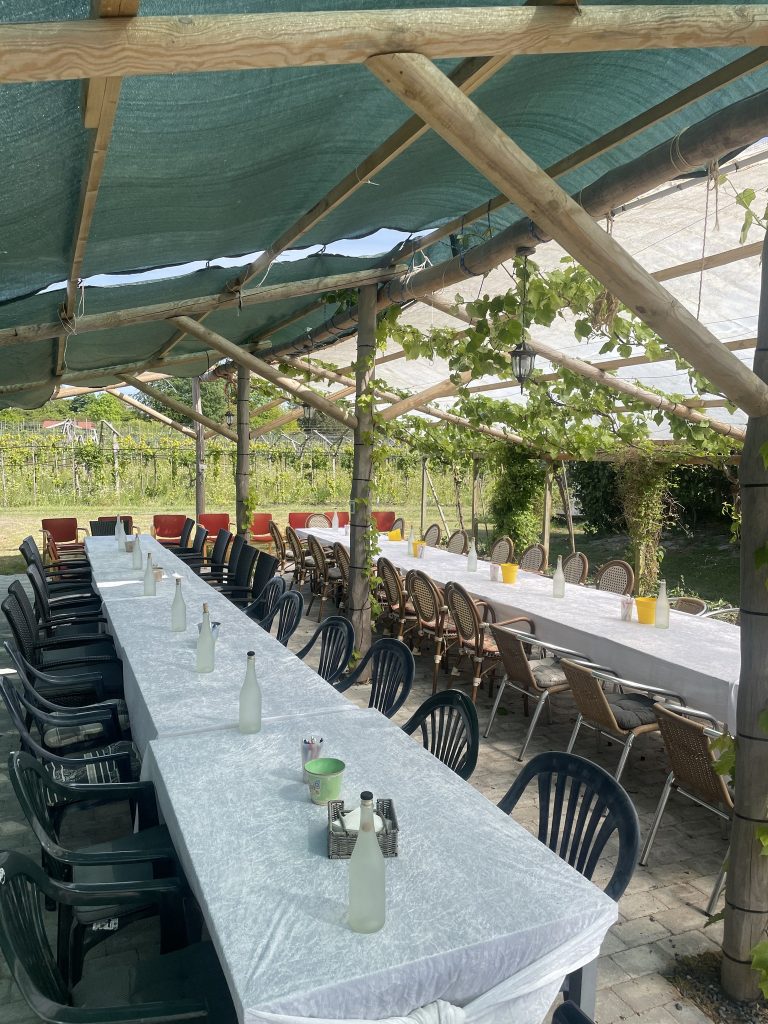 Pergola Terrassen dækket op til firmafrokost under vinrankerne