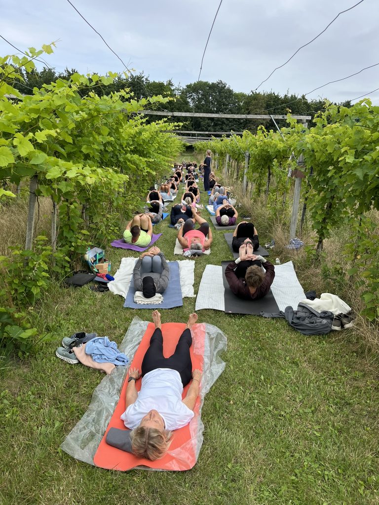 Yoga og mindfulness i vinmarken som pause på strategidag