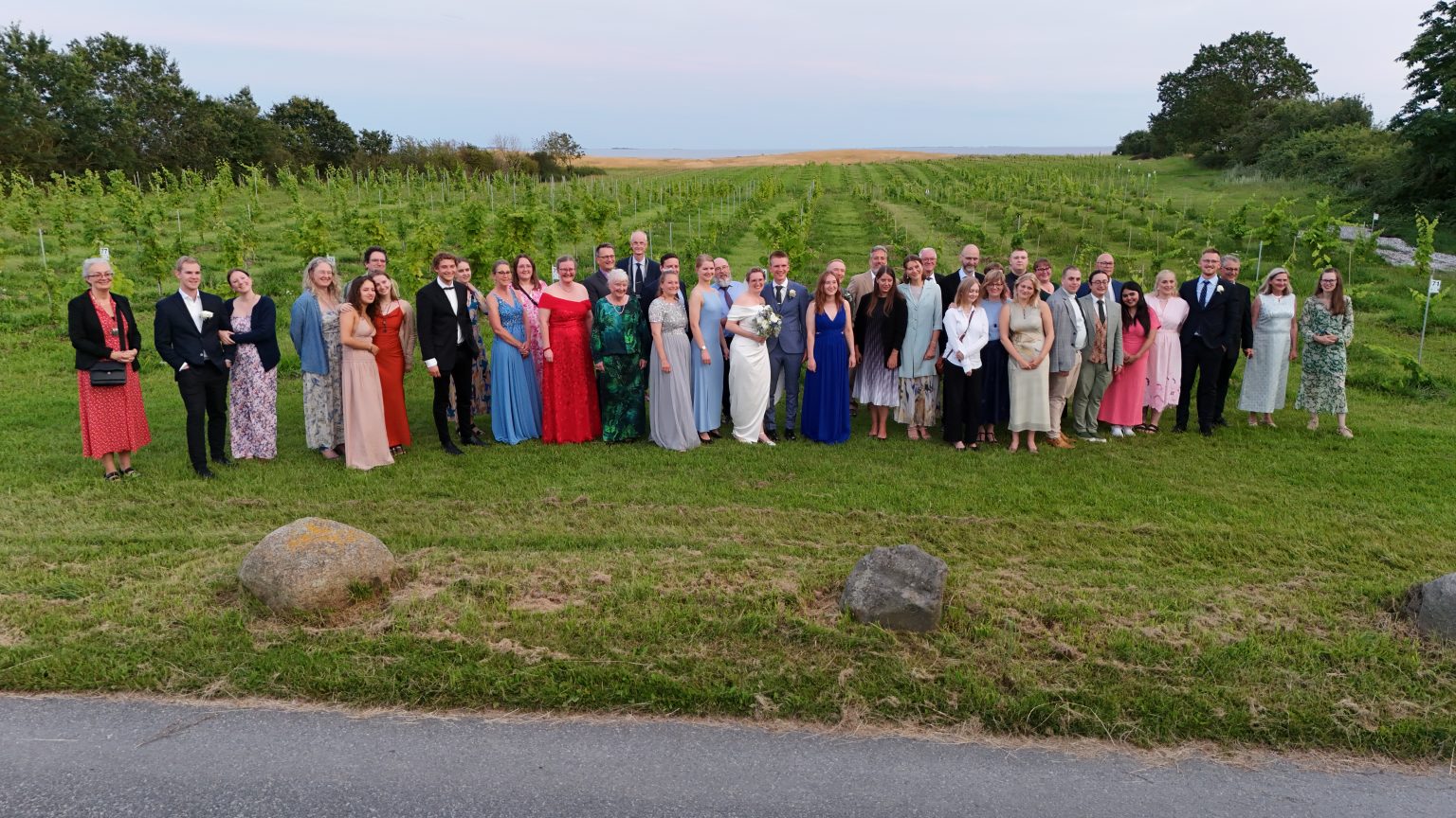 Bryllup på vingård - brudepar og gæster i vinmarken på Vesterhave Vingaard ved Karrebæksminde